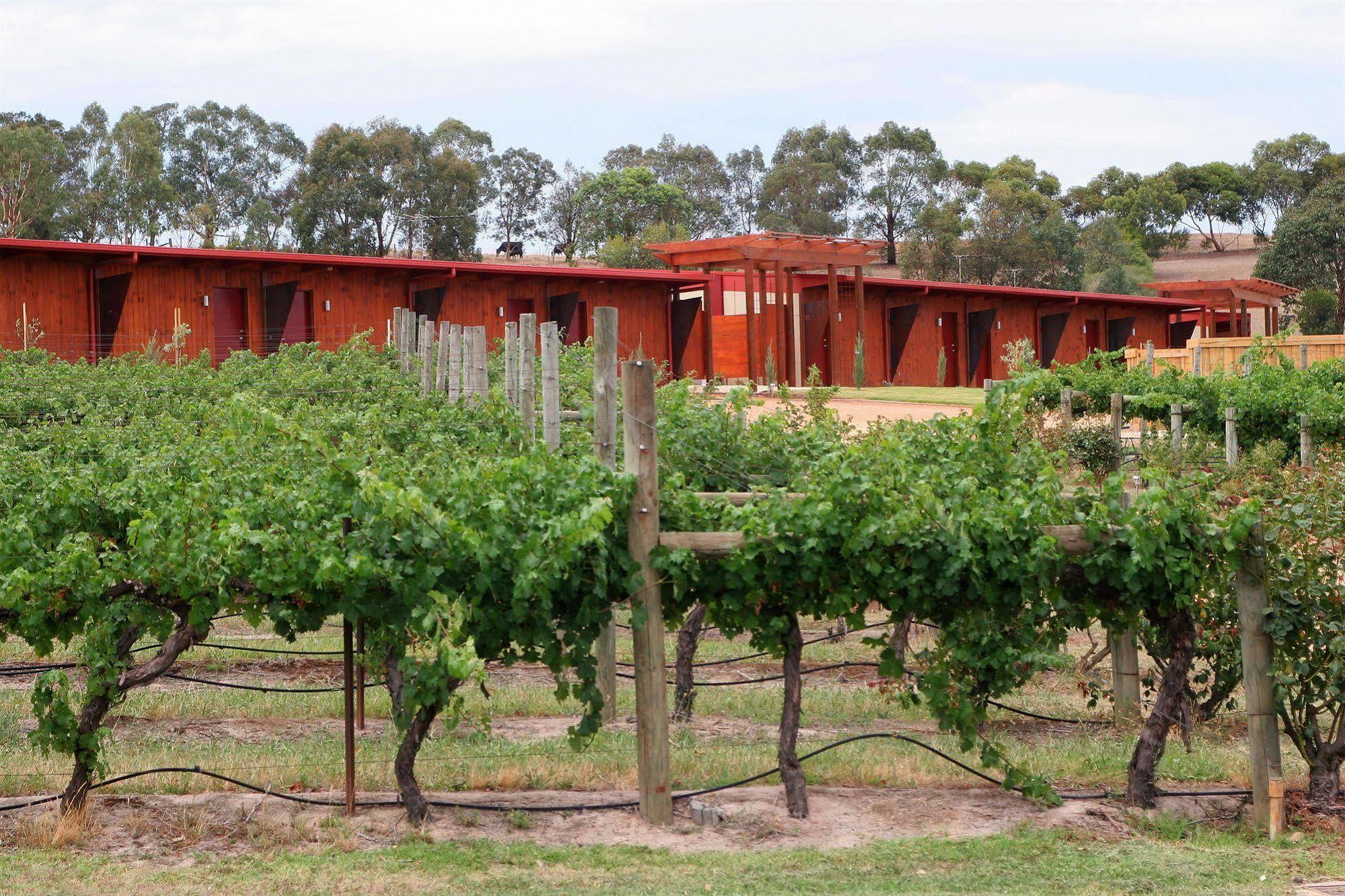 De'Vine Escape Villa Dixons Creek Exterior photo